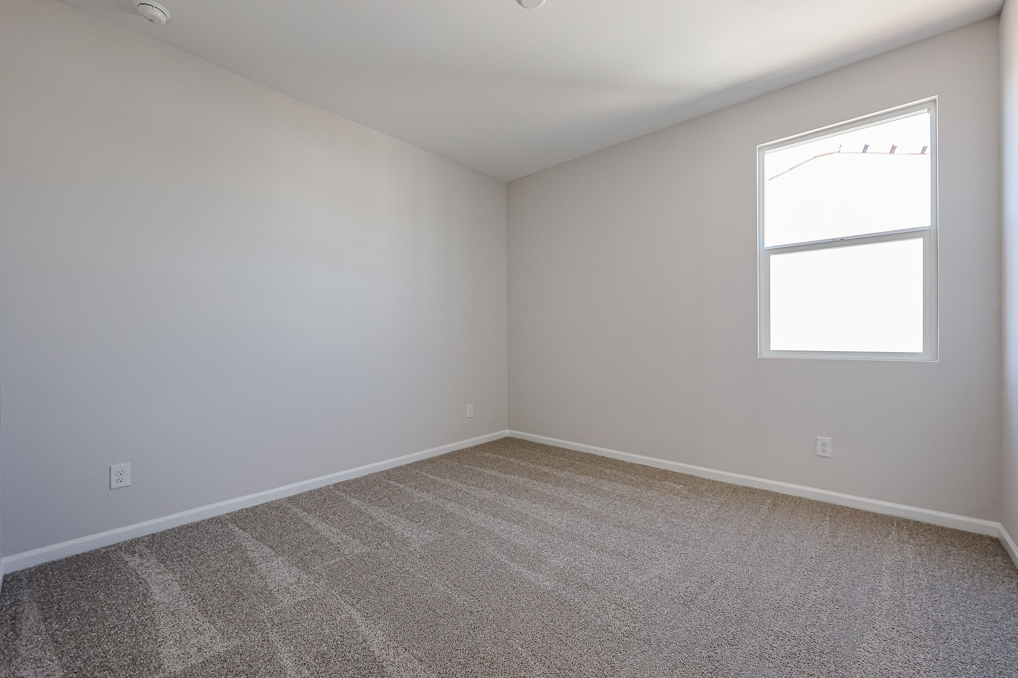 A room with a carpet and a window.
