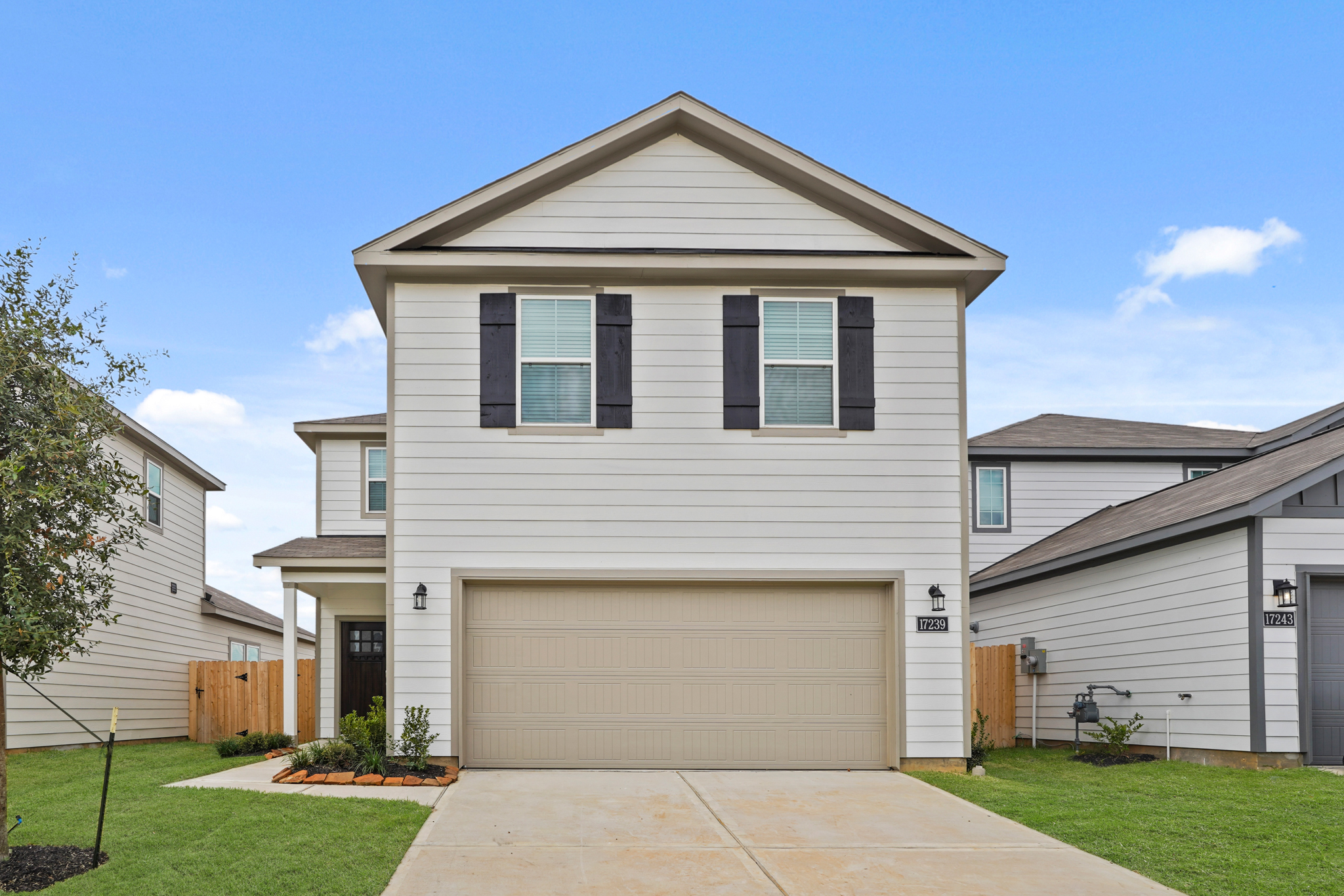 020222 17239 King Eider Road