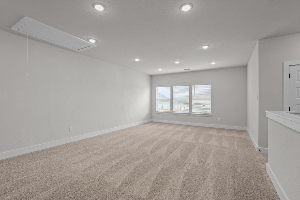 A room with a carpet and windows.